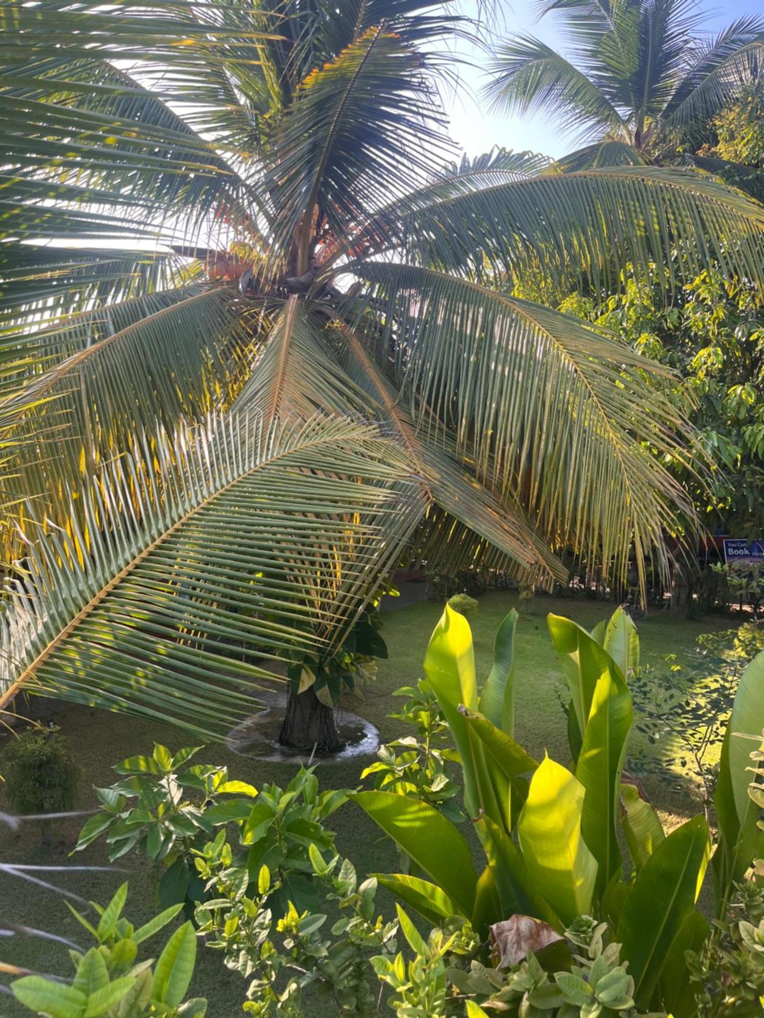 Lobster Inn Trincomalee Bagian luar foto