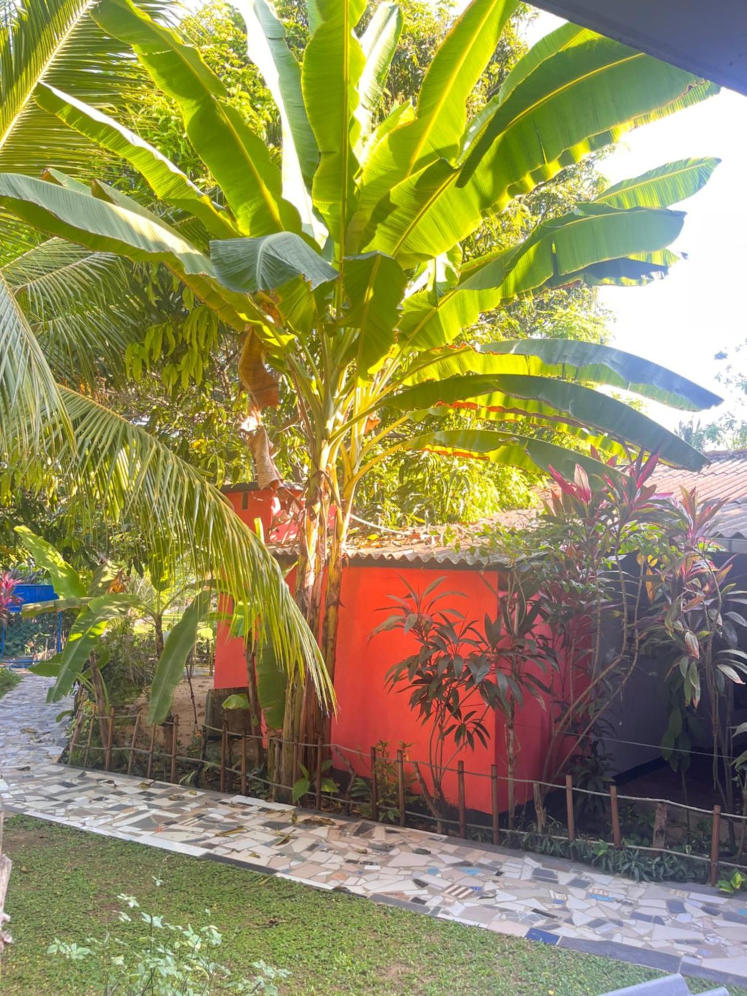 Lobster Inn Trincomalee Bagian luar foto