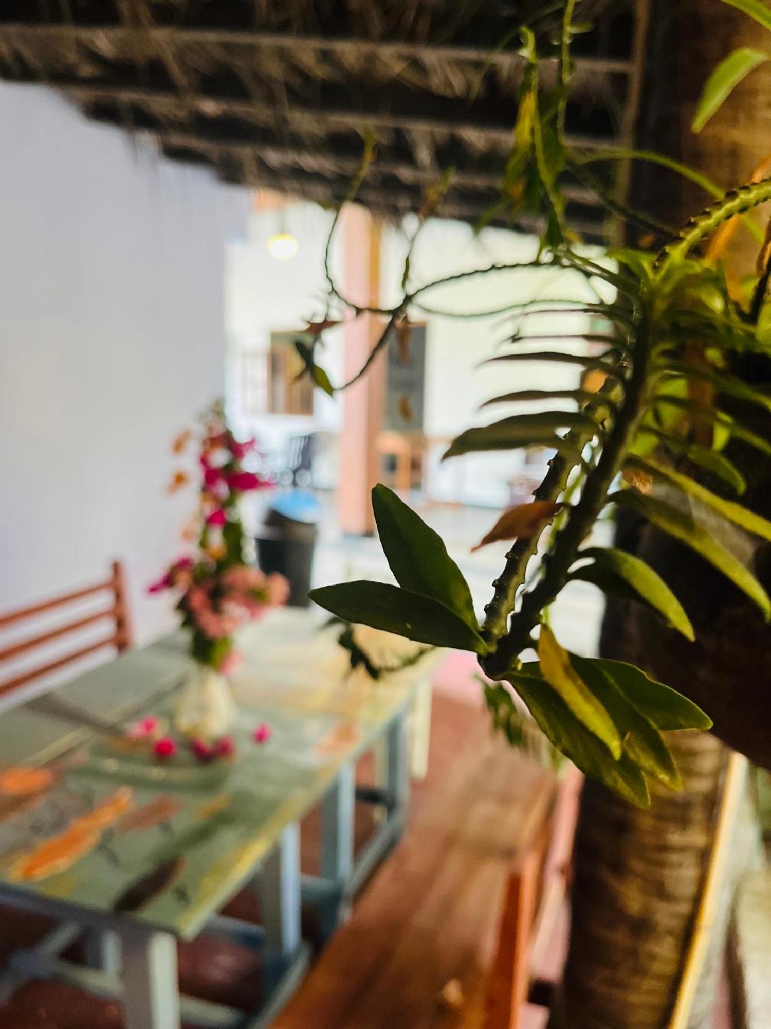 Lobster Inn Trincomalee Bagian luar foto